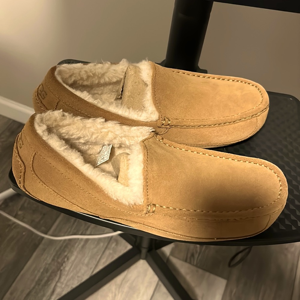 New men uggs